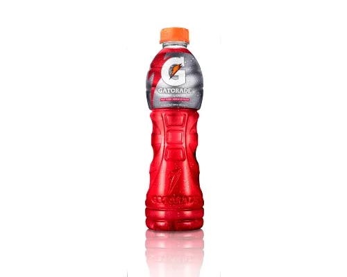 GATORADE FRUIT PUNCH