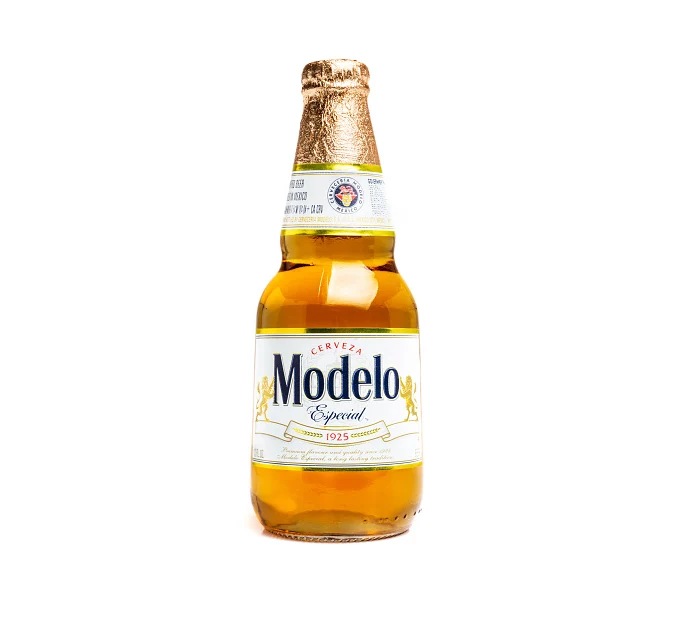 MODELO ESPECIAL